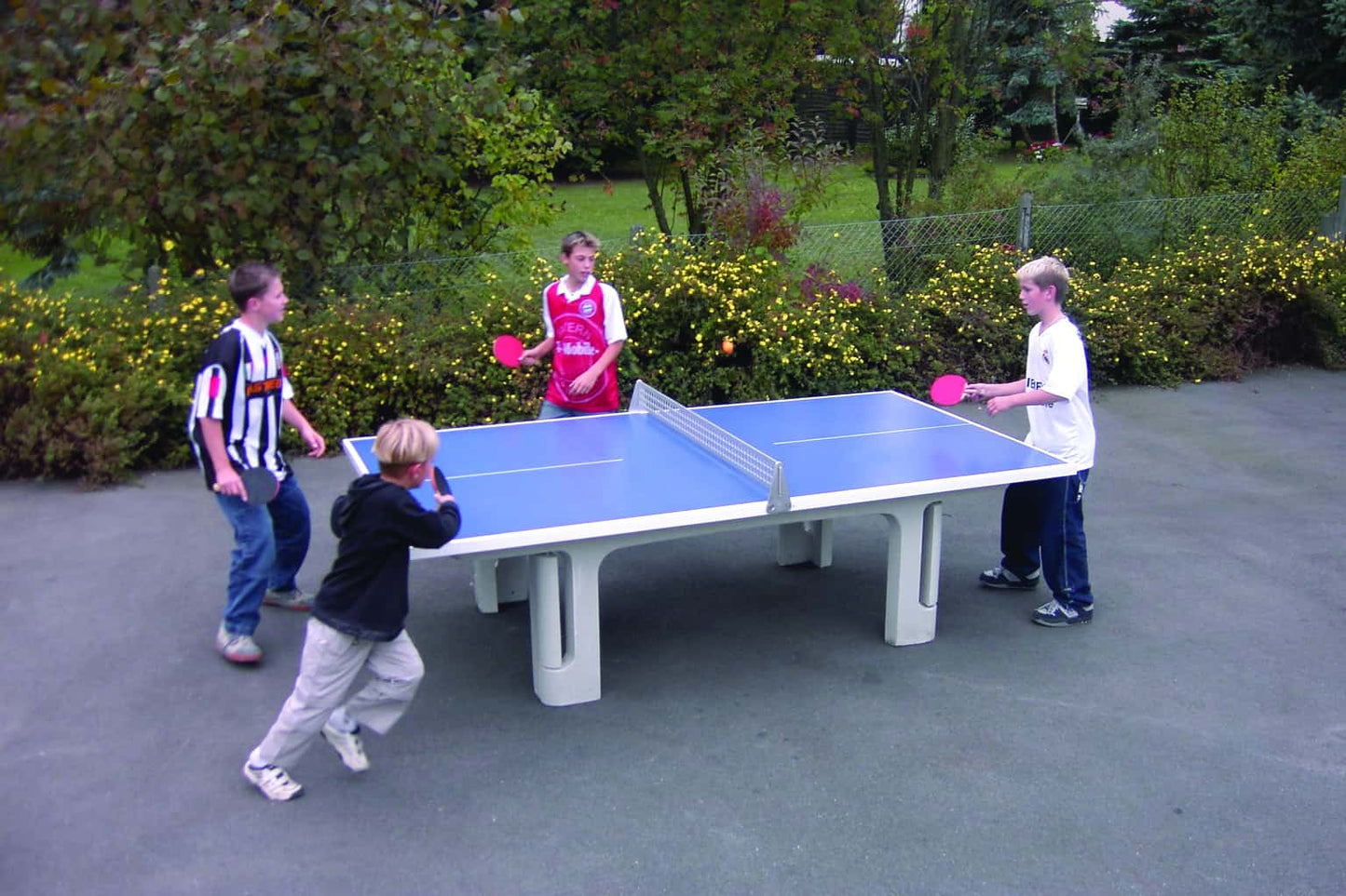 Butterfly Park Blue Concrete Table Tennis Table