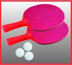 Butterfly Junior Table Tennis Table