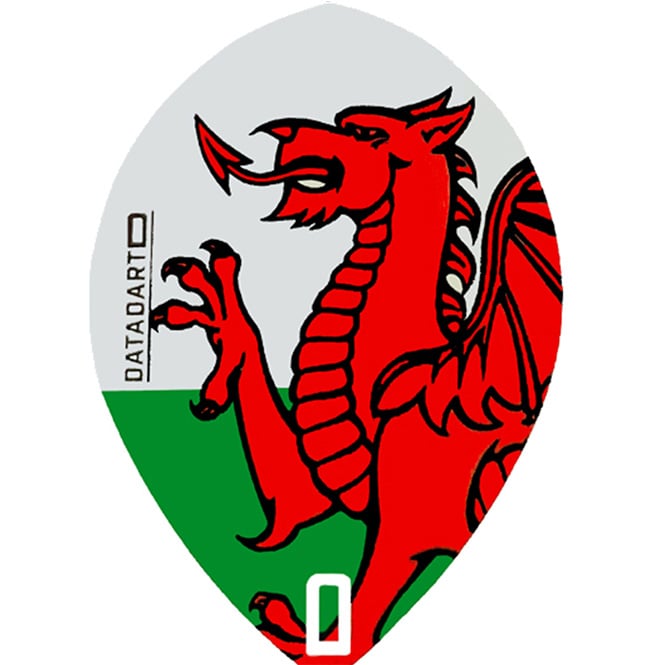 Datadart CMF 39 Pear Wales Flight