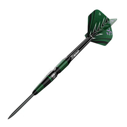 Bulls Brian Raman G2 Champions 90% Tungsten Darts