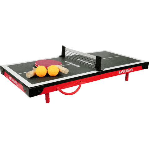 Butterfly Mini Table Tennis Table
