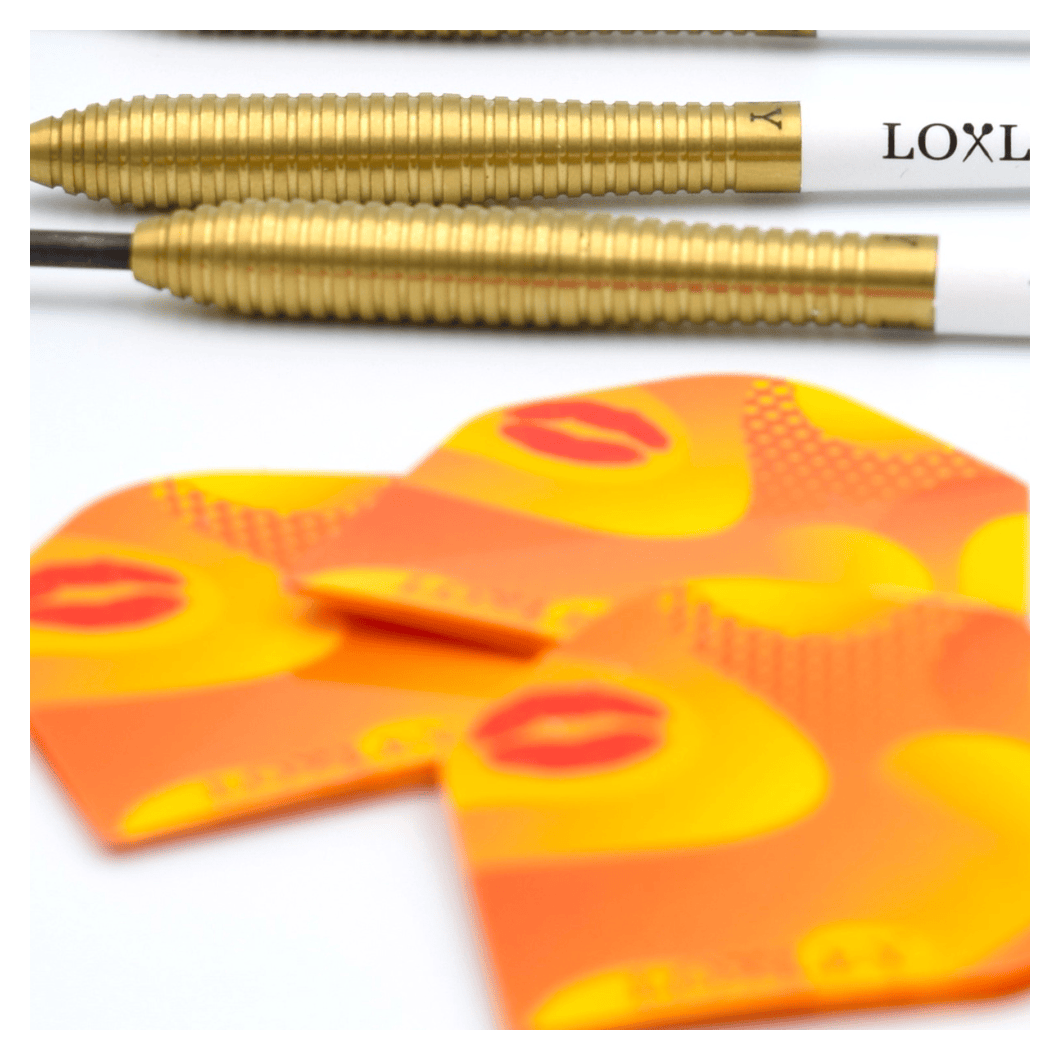 Loxley Christian Kist WC Edition 90% Tungsten Steel Tip Darts Close Up