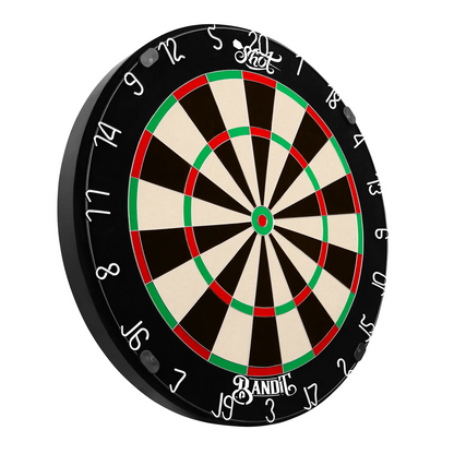 Shot Bandit Gen 4 Dartboard Side View