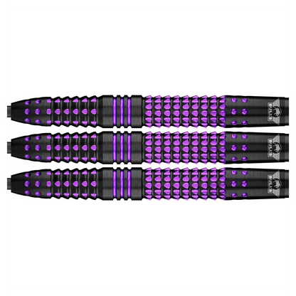 Bulls NL Lerena Rietbergen 90% Tungsten Steel Tip Darts