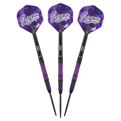 Bulls NL Lerena Rietbergen 90% Tungsten Steel Tip Darts