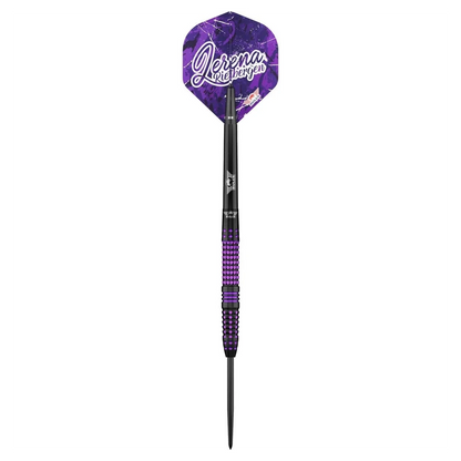 Bulls NL Lerena Rietbergen 90% Tungsten Steel Tip Darts