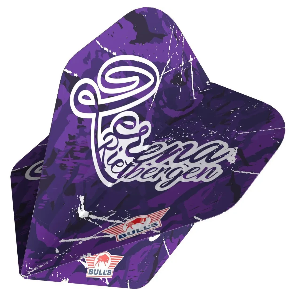 Bulls NL Lerena Rietbergen 90% Tungsten Steel Tip Darts