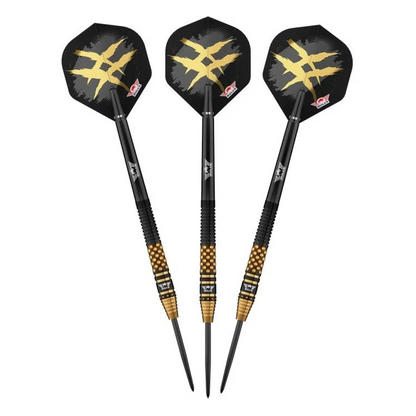 Bulls NL Richard Veenstra E2 90% Tungsten Steel Tip Darts