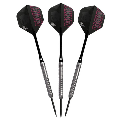 Bulls NL Ricky Evans E2 80% Tungsten Steel Tip Darts