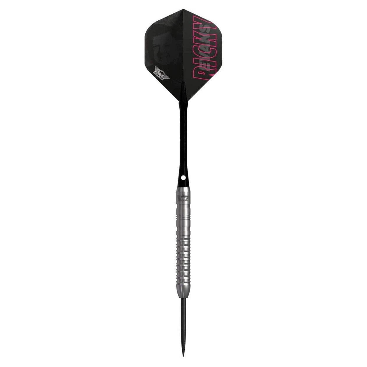 Bulls NL Ricky Evans E2 80% Tungsten Steel Tip Darts