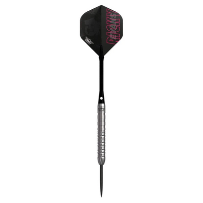 Bulls NL Ricky Evans E2 80% Tungsten Steel Tip Darts