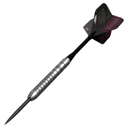 Bulls NL Ricky Evans E2 80% Tungsten Steel Tip Darts