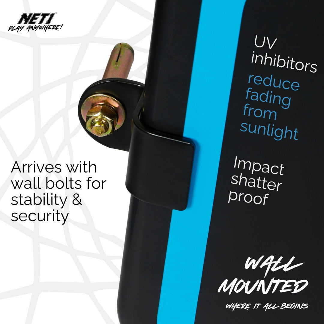 NET1 Wall-Mounted Hoop
